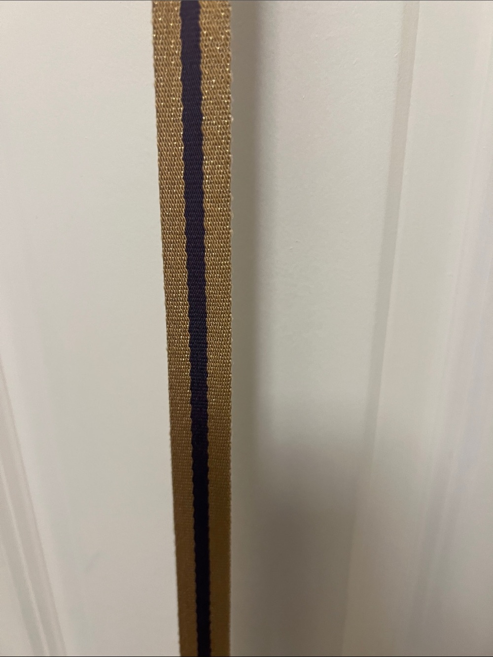 Club Monaco purple and gold d ring belt